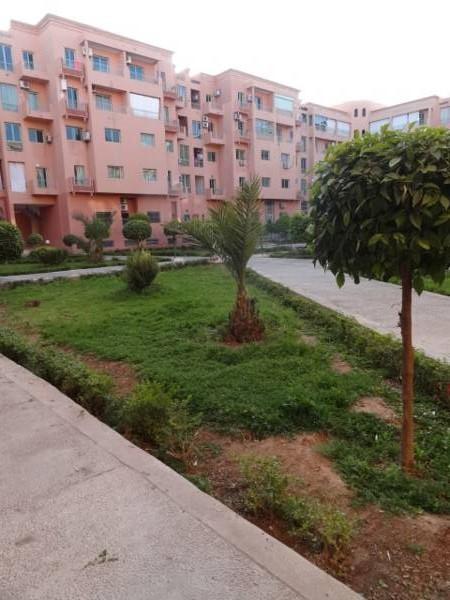 Manis Set In A Area Apartment